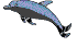 dolphin